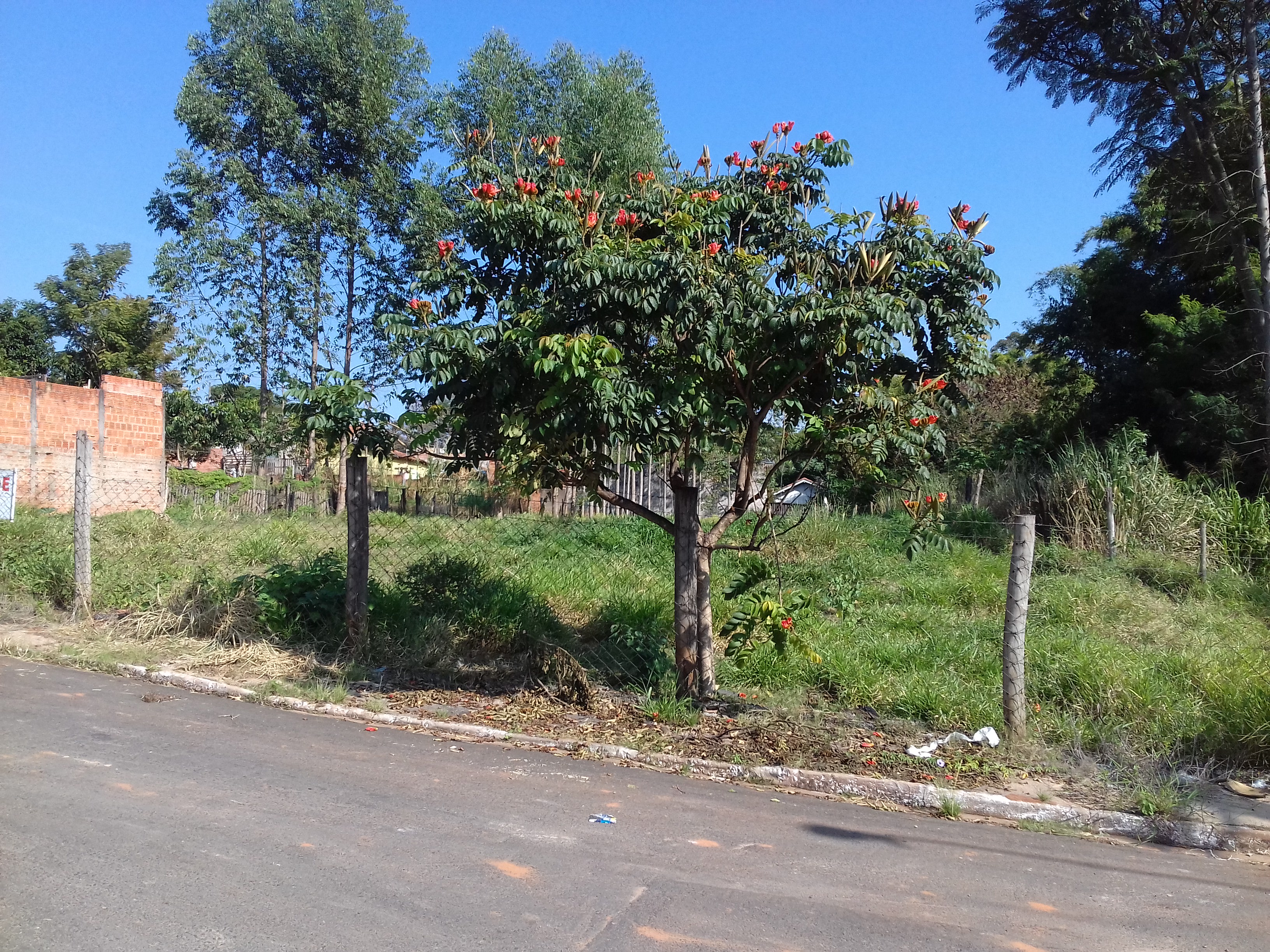 Terreno Pavimentação Terreno Pavimentação